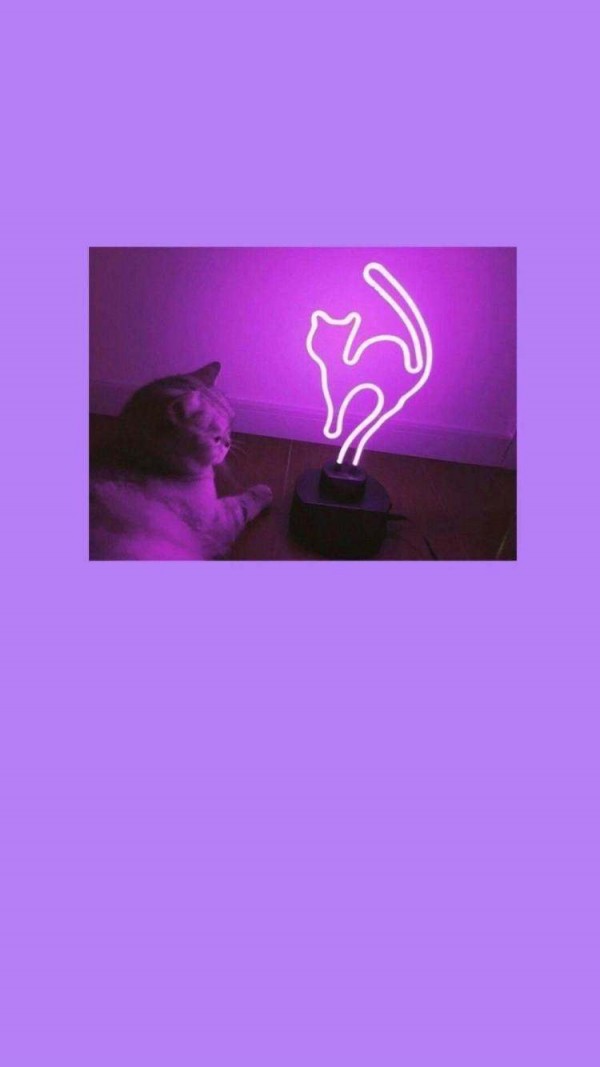 微信唯美个性紫色系聊天背景