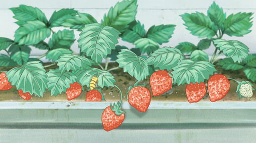 微信唯美简约好看二次元图片