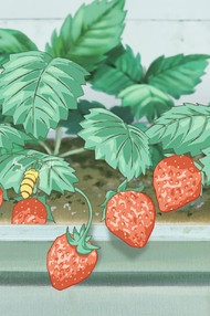 微信唯美简约好看二次元图片