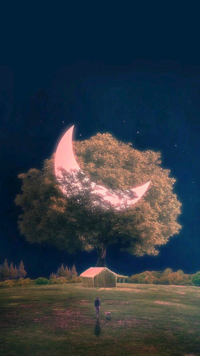 微信暗夜系护眼聊天背景