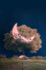 微信暗夜系护眼聊天背景