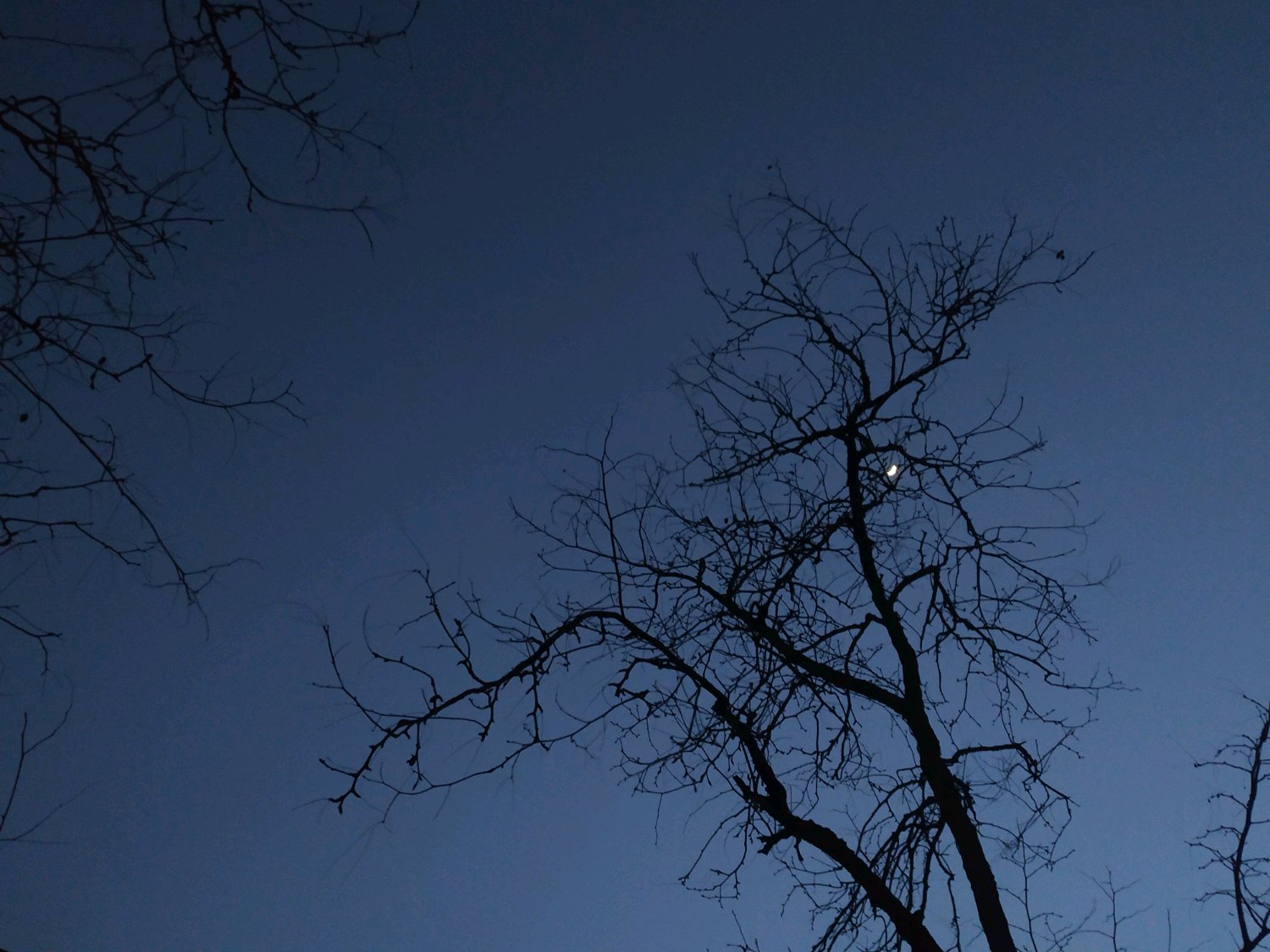 微信唯美简约好看聊天背景