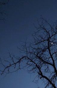 微信唯美简约好看聊天背景