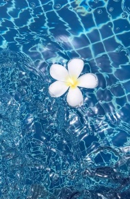 唯美风景微信图片