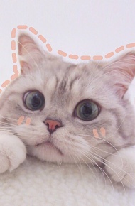 微信唯美文艺简约风景静物聊天背景