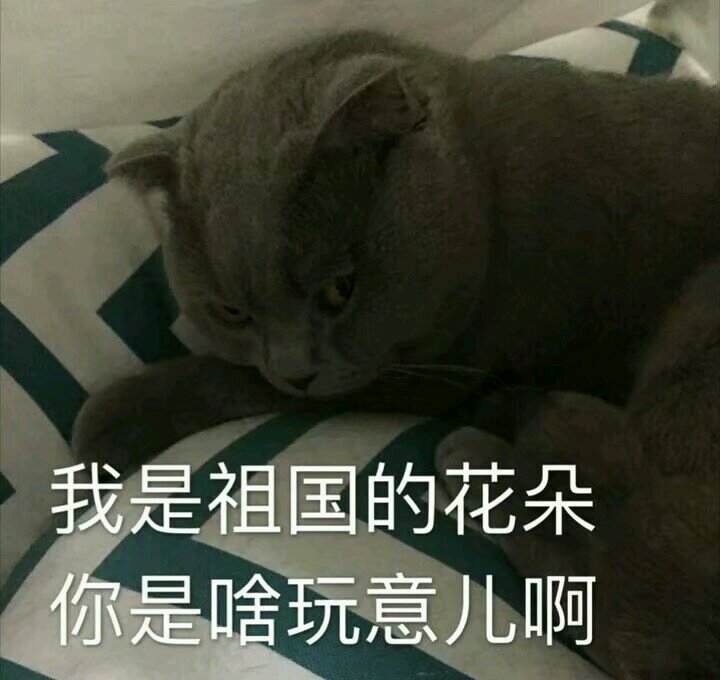 微信爆笑套系恶搞斗图表情包