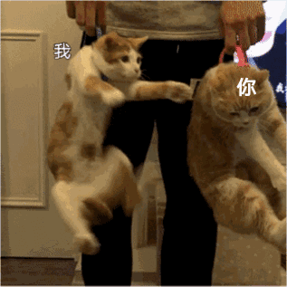 撤回微信搞怪傻屌斗图表情包