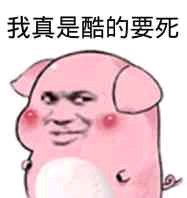 搞怪逗比斗图微信表情包