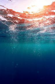 微唯美清新手机壁纸