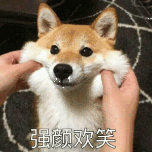 强颜欢笑微信恶搞傻屌斗图表情包