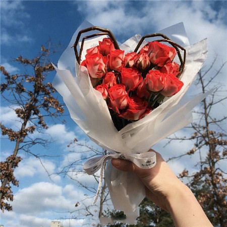 唯美暖心的心形花花系列微信图片合集下载