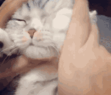 可爱调皮喵星人表情包