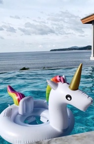 意境风景静物手机壁纸