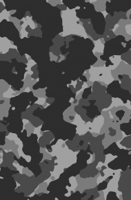 好看个性迷彩手机壁纸