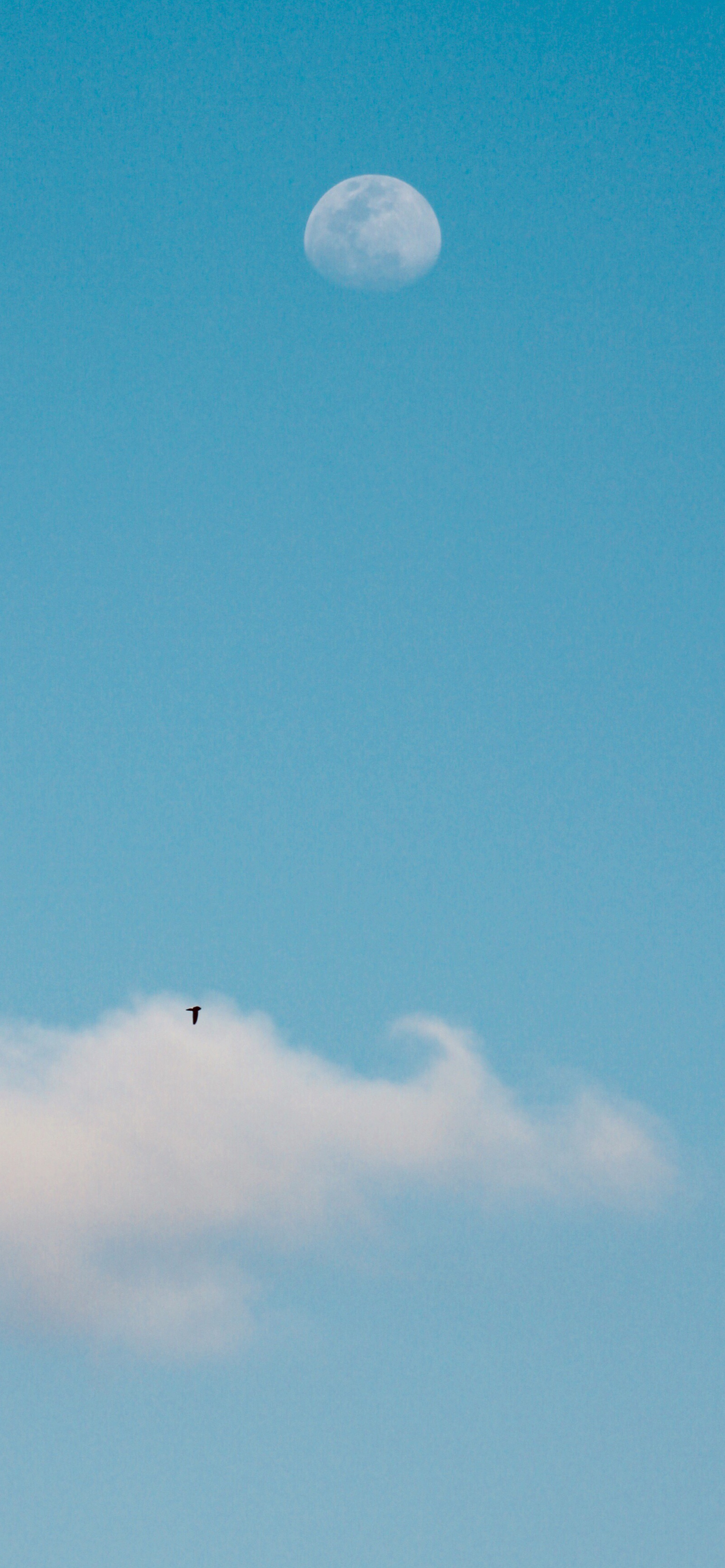 清新简洁唯美风景手机壁纸