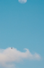 清新简洁唯美风景手机壁纸