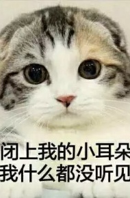 可爱萌萌哒的喵星人系列微信图片下载