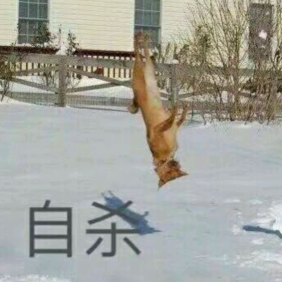 自杀微信恶搞群聊杂图表情包