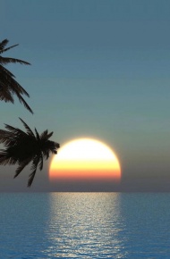 唯美小清新手机壁纸