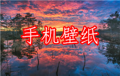 手机壁纸