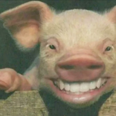 搞笑沙雕风格的微信个性头像合集下载