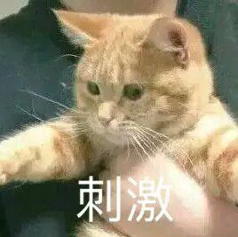 刺激恶搞群聊杂图微信表情包