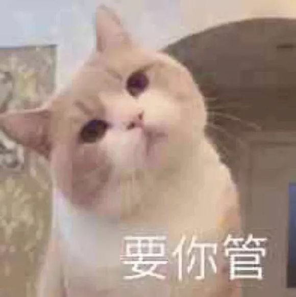 要你管微信恶搞斗图表情包