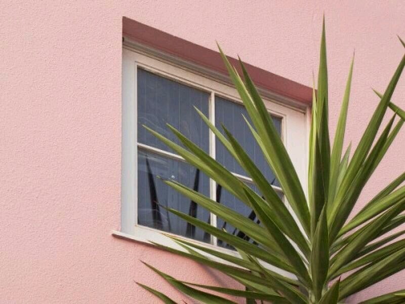 简洁清新风景静物微信朋友圈配图