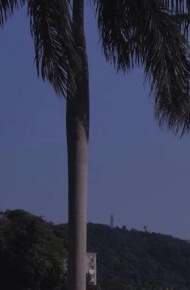 好看梦幻风景朋友圈配图