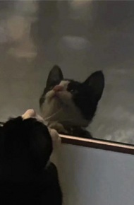 微信伤感个性意境朋友圈配图