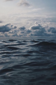 今日手机壁纸精选2019/8/23