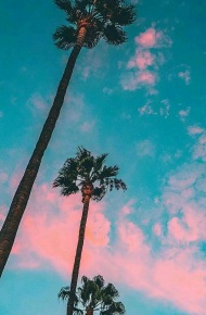 微信清新唯美聊天背景