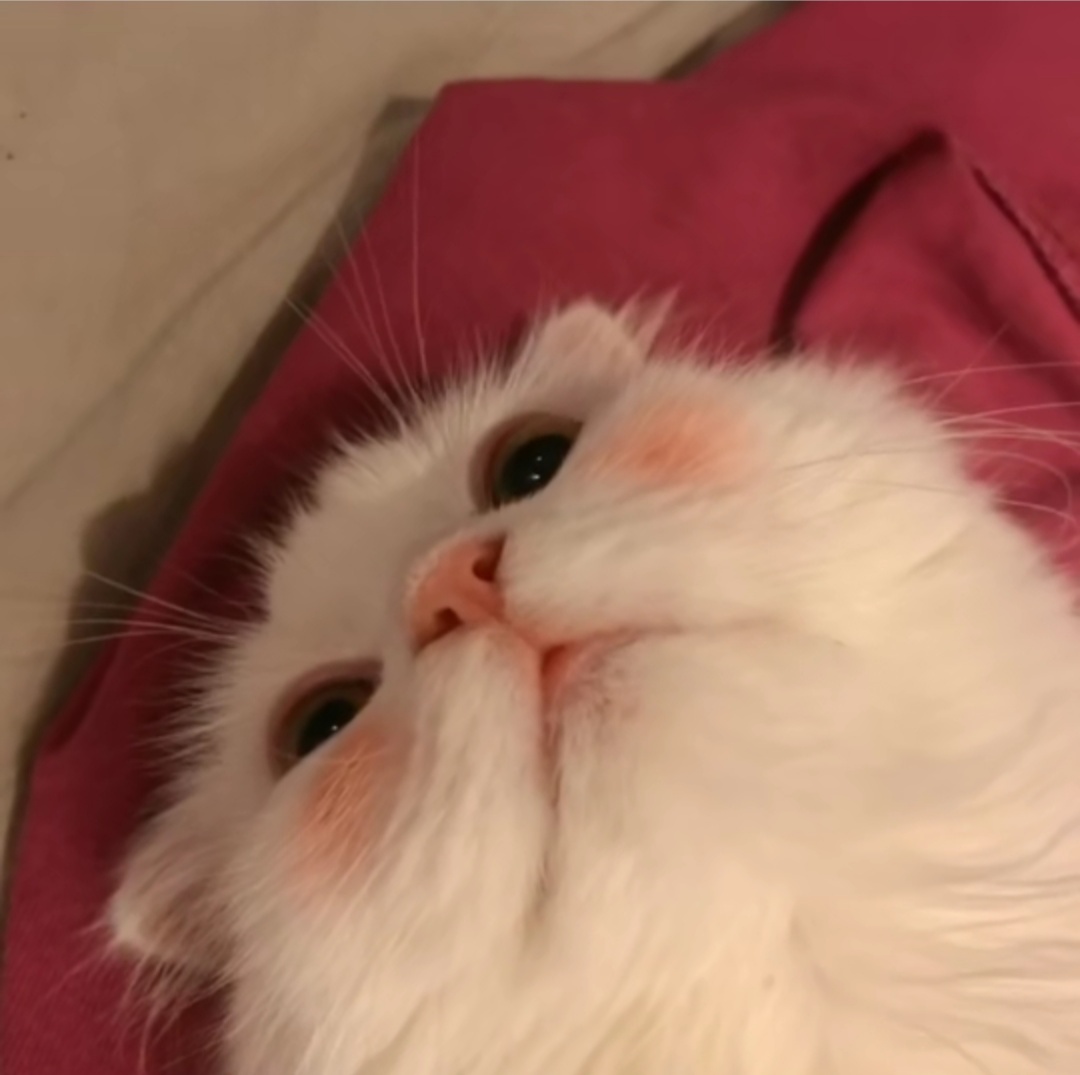 微信温馨爱情情头