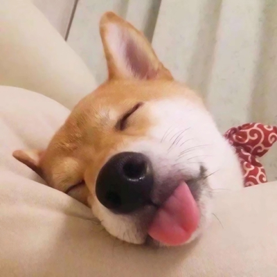 搞笑有趣味的微信个性头像合集下载