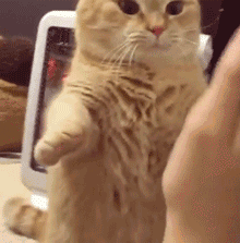 微信近期斗图恶搞表情包2019/9/27（二）