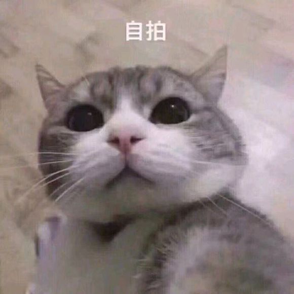 微信近期斗图恶搞表情包2019/10/16（二）