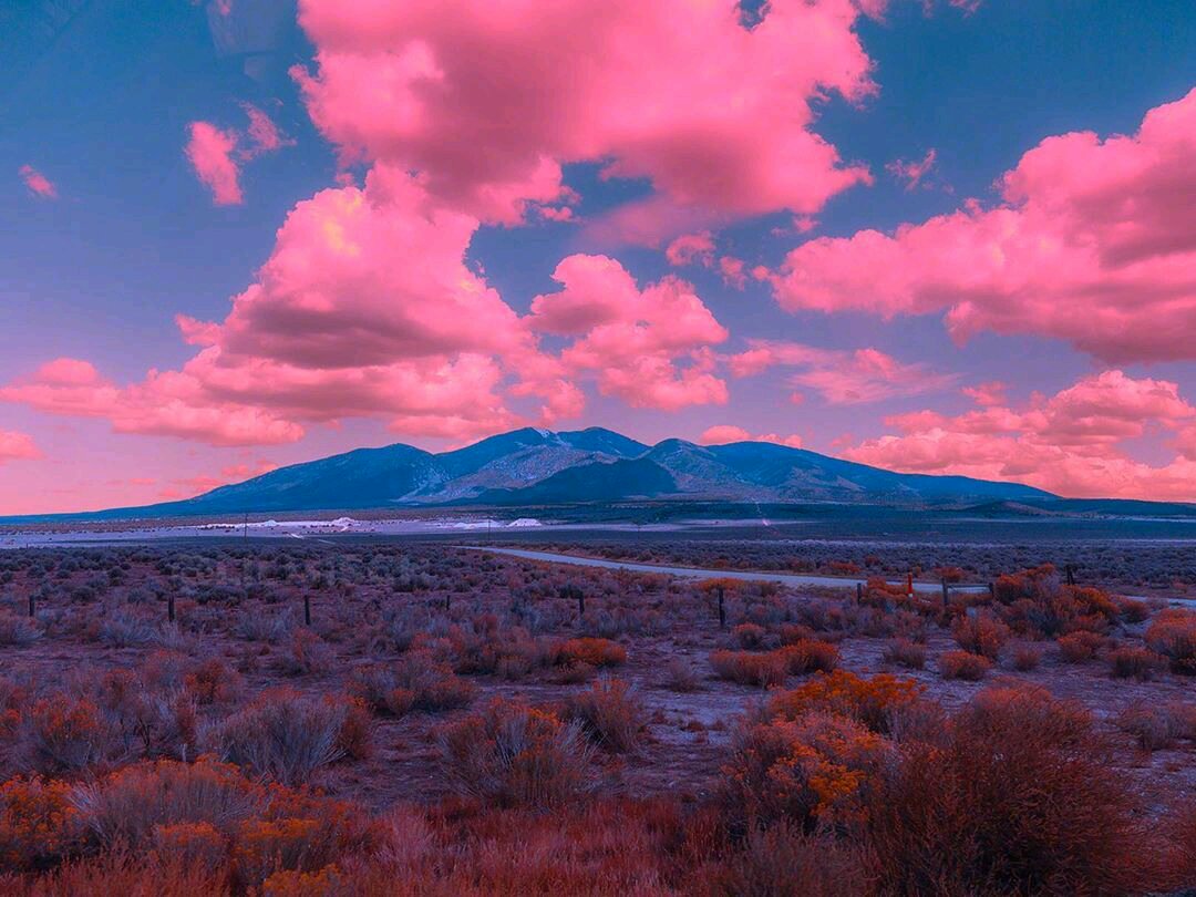 梦幻粉色系朋友圈配图