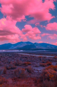 梦幻粉色系朋友圈配图