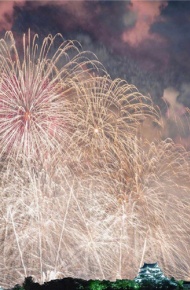 唯美好看的微信烟花图片