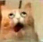 微信近期斗图恶搞表情包2019/10/31（二）