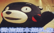 熊本熊