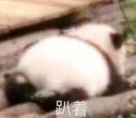 趴着微信恶搞斗图表情包