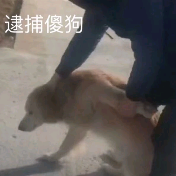 逮捕傻狗微信恶搞斗图表情包