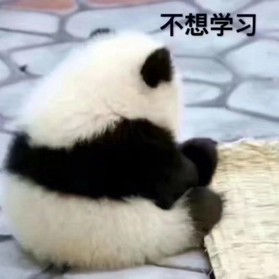 可爱带字的微信大熊猫头像
