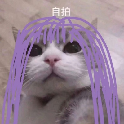 微信最新精选搞笑逗比风格头像