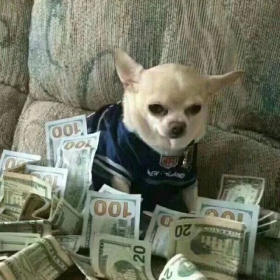 一对两张的微信搞笑沙雕情侣头像