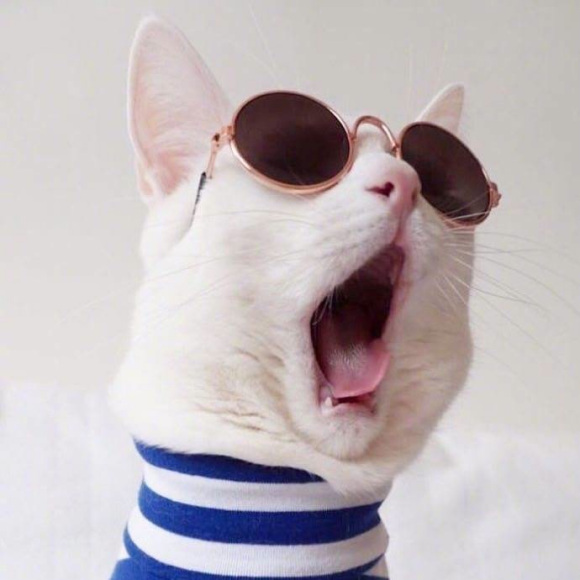 搞怪微信情侣头像