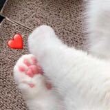 胡乱分析微信逗比聊天表情包