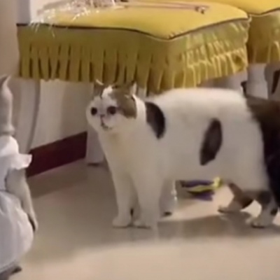 甜蜜指数爆棚系列情侣头像合集（二）