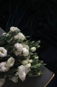 限量版微丧背景图